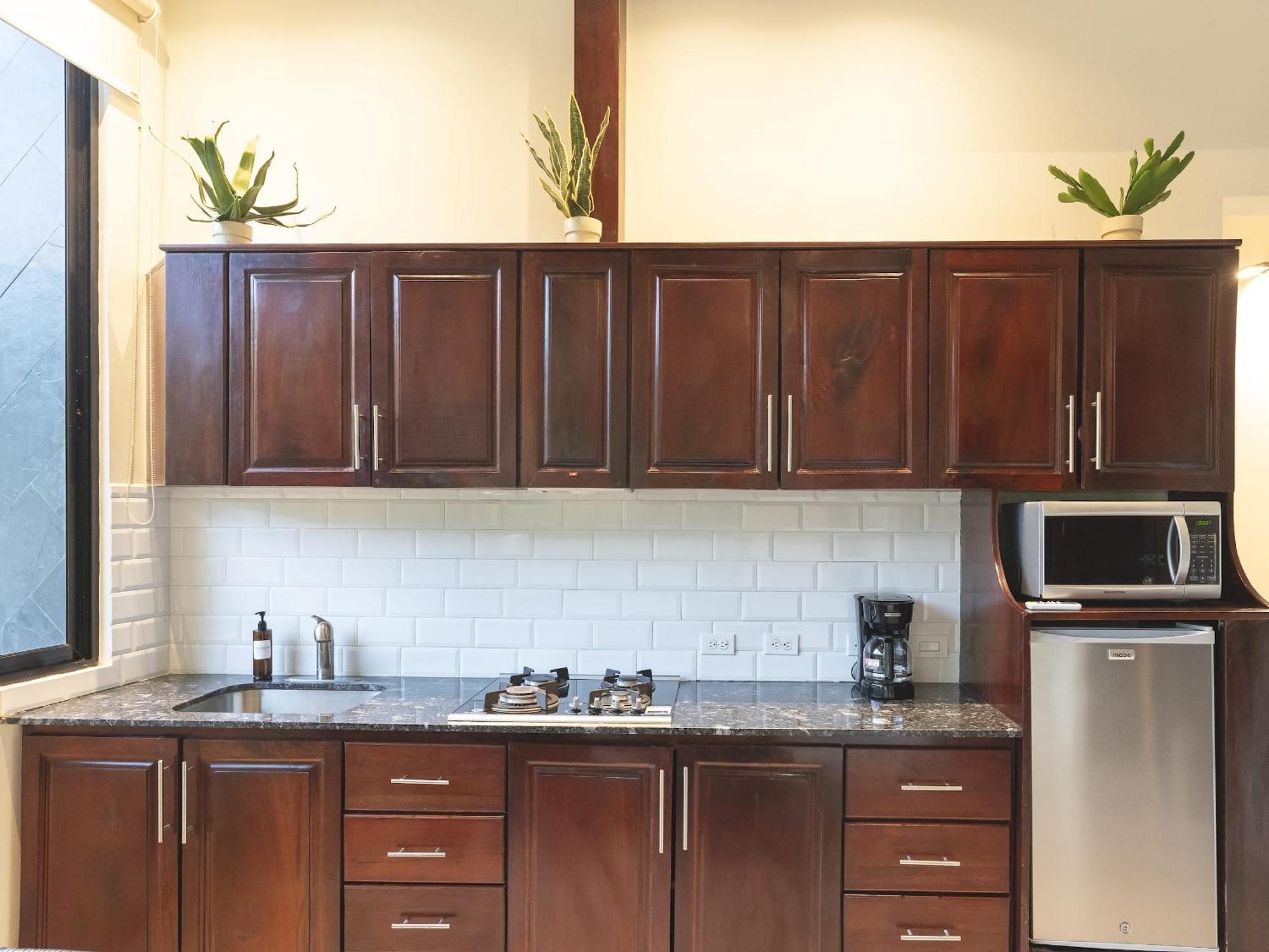 Surfside Apartments - Playa Carmen Playa Santa Teresa  エクステリア 写真